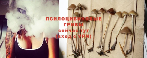 крисы Армянск