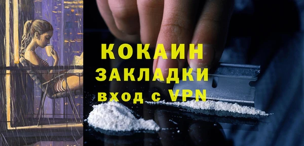 крисы Армянск