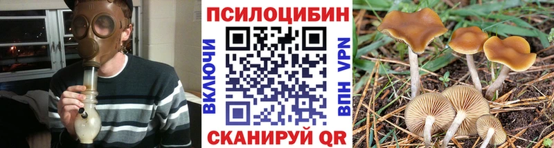Галлюциногенные грибы мухоморы  купить наркотики цена  Великие Луки 
